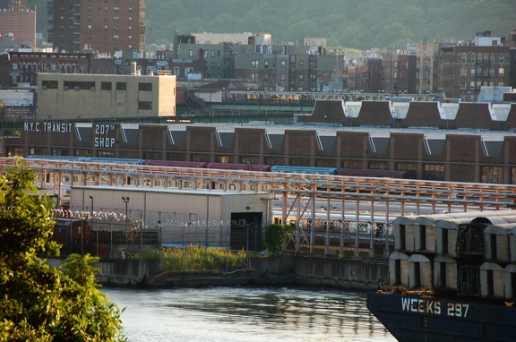 DSC_9100a.jpg