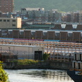 DSC_9100a.jpg