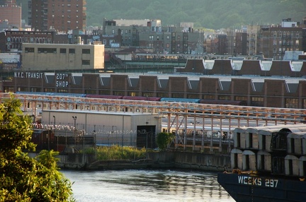 DSC_9100a.jpg