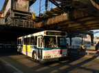 DSC_9266a.jpg