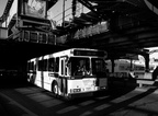 DSC_9266abw.jpg