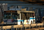 DSC_9279a.jpg