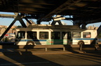DSC_9296a.jpg