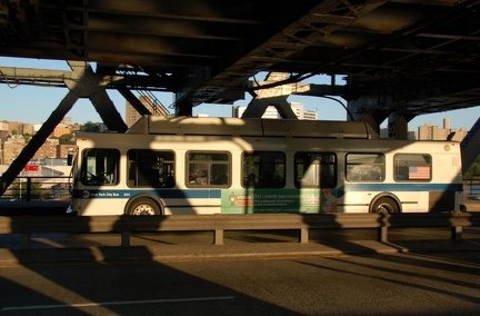 DSC_9296a.jpg