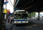 DSC_9311a.jpg