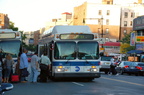 DSC_9313a.jpg