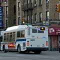 DSC_9419a.jpg