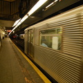 DSC_0787fa.jpg