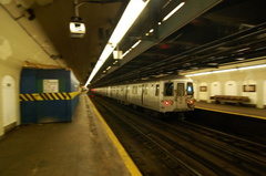 DSC_0812fa.jpg