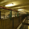 DSC_0822f.jpg
