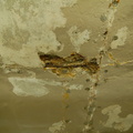 DSC_0832f.jpg