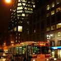 DSC_1917a_800f.jpg