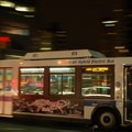 DSC_1955f.jpg