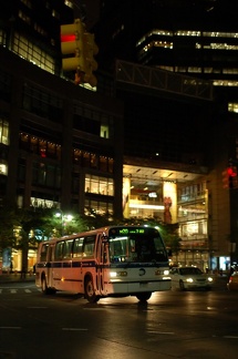 DSC_1962_800f.jpg