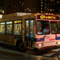 DSC_1979f.jpg
