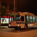 DSC_2002af.jpg