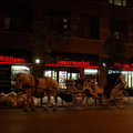 DSC_2004af.jpg