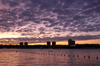 DSC_2315.jpg