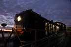 DSC_2330f.jpg