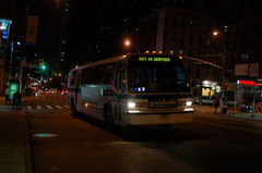 DSC_2359f.jpg