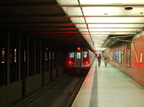 DSC_2360af.jpg