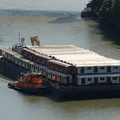 DSC_2437a.jpg