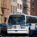 DSC_3538a.jpg