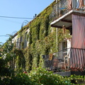 DSC_3547_800.jpg