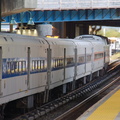 DSC_3840a.jpg