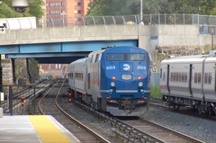 DSC_3857a.jpg
