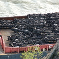 DSC_3873.jpg