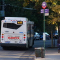 DSC_4240a.jpg