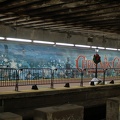 DSC_4345f.jpg