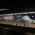 DSC_4350af.jpg