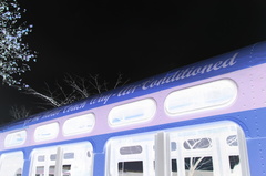 DSC_4834aaa.jpg