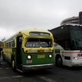 DSC_4879a.jpg