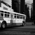 DSC_5220bw.jpg