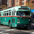 DSC_5382a.jpg