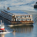 DSC_5793.jpg