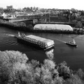 DSC_5840bw.jpg