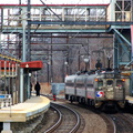 DSC_6202a.jpg