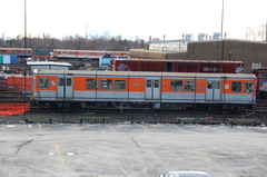DSC_6222a.jpg
