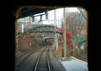 DSC_6323a.jpg