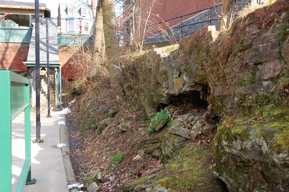 DSC_6385a.jpg