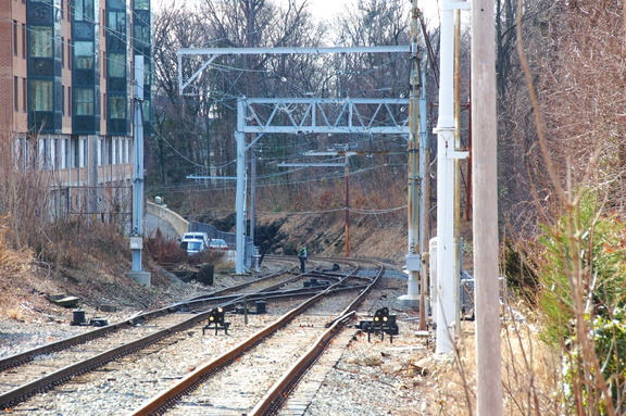DSC_6404a.jpg