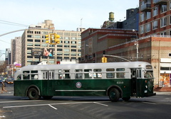 DSC_6975a.jpg