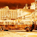 DSC_6975a_gold.jpg