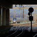 DSC_7363af.jpg