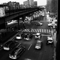 DSC_7368a-800.jpg