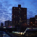 DSC_7402_800f.jpg